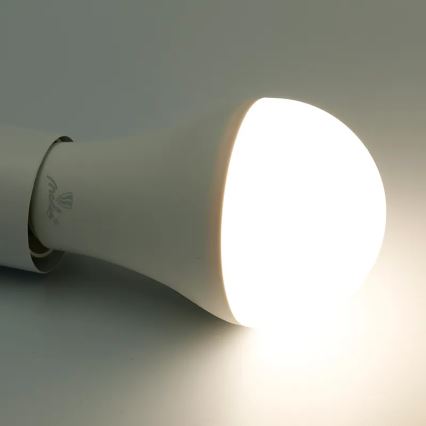 Bombilla LED RGBW regulable A60 E27/15W/230V 2700-6500K Wi-Fi Tuya