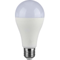 Bombilla LED SAMSUNG CHIP A65 E27/17W/230V 3000K
