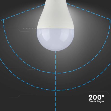 Bombilla LED SAMSUNG CHIP A65 E27/17W/230V 3000K
