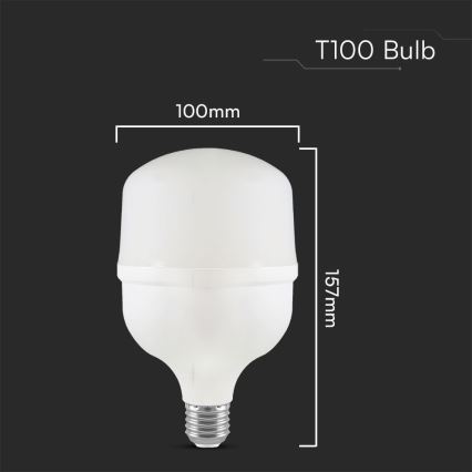 Bombilla LED T100 E27/30W/230V 6500K