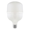 Bombilla LED T80 E27/20W/230V 6500K