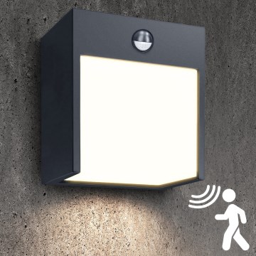 Brilagi - Aplique LED de exterior con sensor TERNI LED/12W/230V antracita IP44