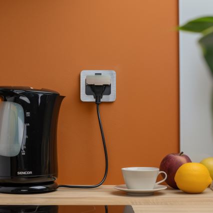 Brilagi - Enchufe de suelo empotrable de exterior IP55 rectangular cromo mate