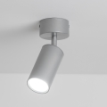 Brilagi - Foco de baño SELE 1xGU10/30W/230V IP44 plata