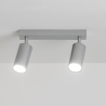 Brilagi - Foco de baño SELE 2xGU10/30W/230V IP44 plata