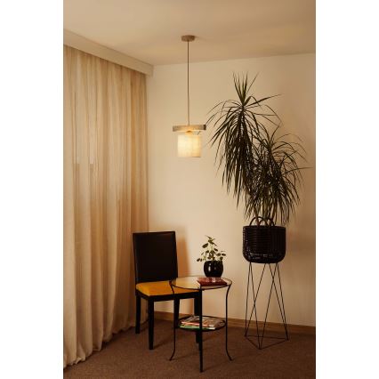 Brilagi - Lámpara colgante FOREST 1xE27/15W/230V pino/marrón/color crema