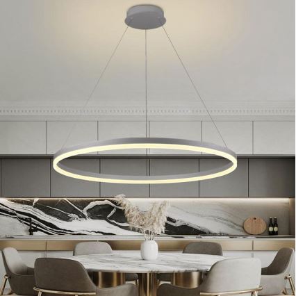 Brilagi - Lámpara de araña LED regulable CIRCLE LED/55W/230V 3000-6500K plata + control remoto