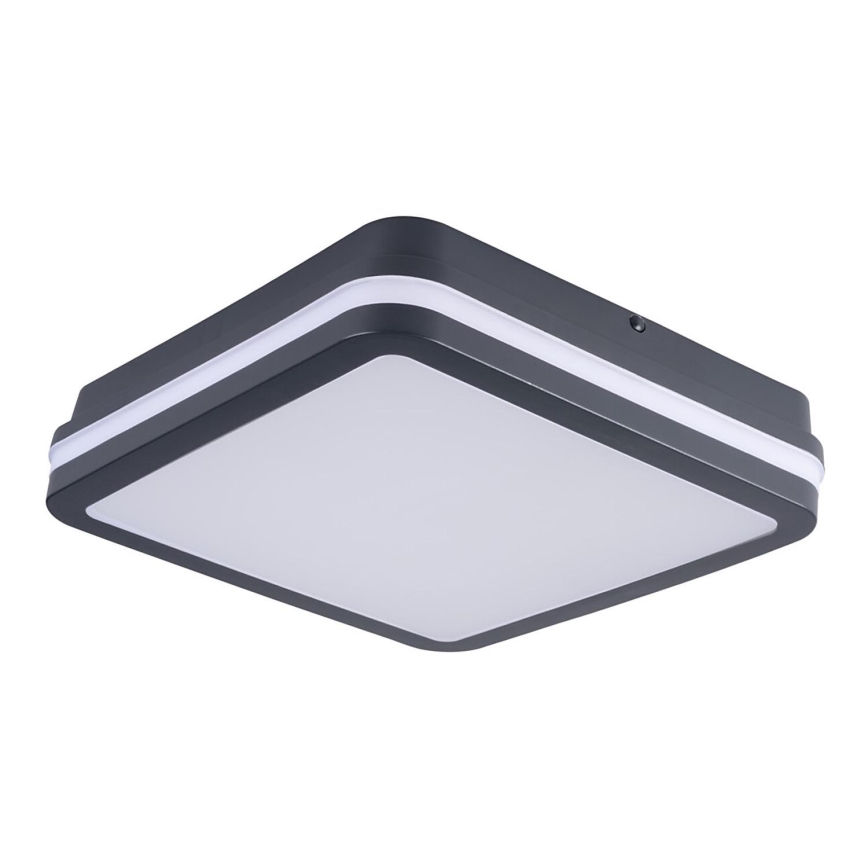 Brilagi - Lámpara de exterior LED BENE LED/24W/230V 26x26 cm antracita IP54