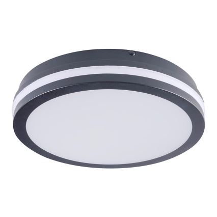 Brilagi - Lámpara de exterior LED BENE LED/24W/230V diá. 26 cm antracita IP54