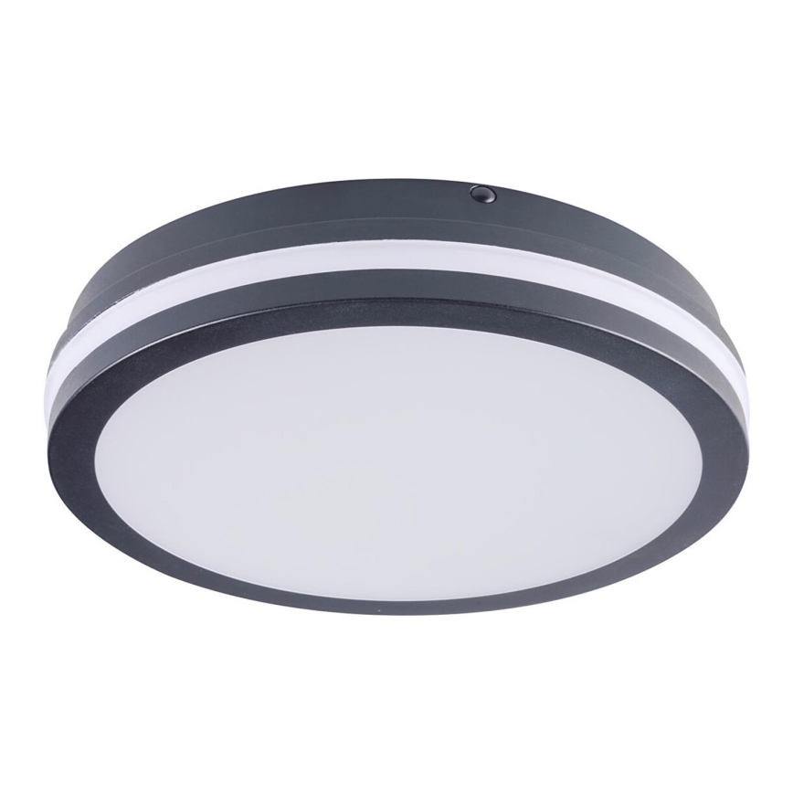 Brilagi - Lámpara de exterior LED BENE LED/24W/230V diá. 26 cm antracita IP54