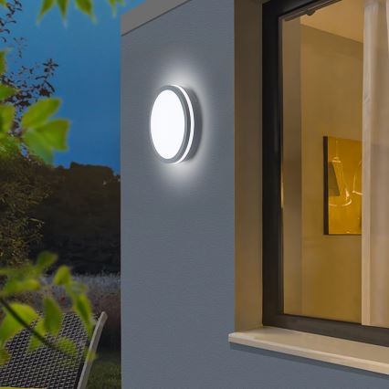 Brilagi - Lámpara de exterior LED BENE LED/24W/230V diá. 26 cm antracita IP54