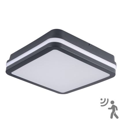 Brilagi - Lámpara de exterior LED con sensor BENE LED/18W/230V 22x22 cm antracita IP54