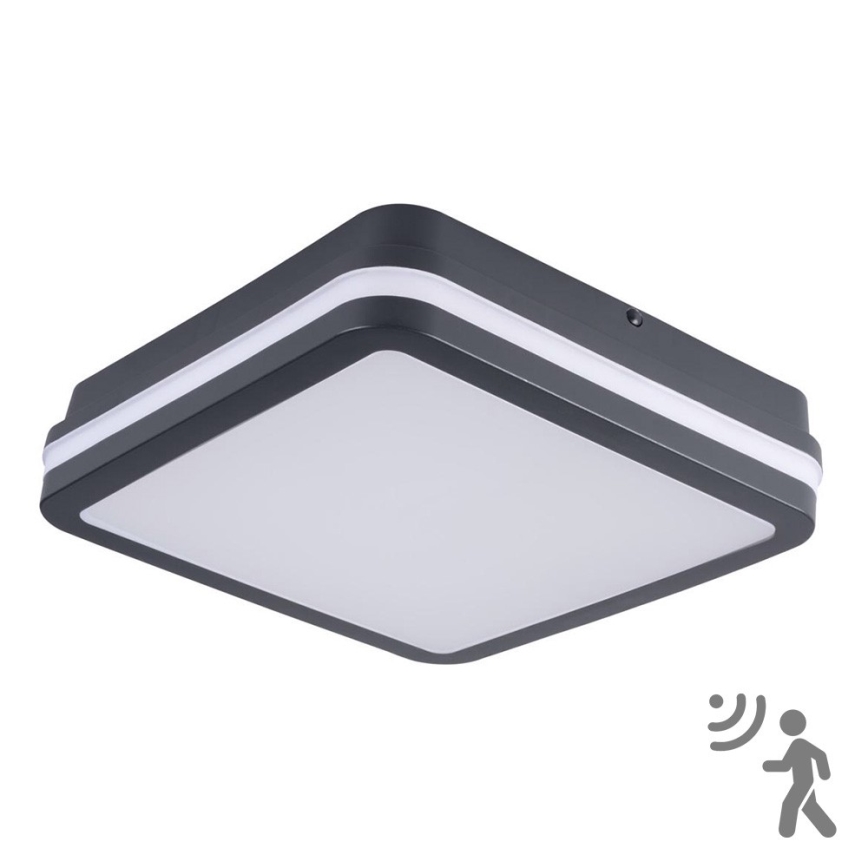 Brilagi - Lámpara de exterior LED con sensor BENE LED/18W/230V 22x22 cm antracita IP54