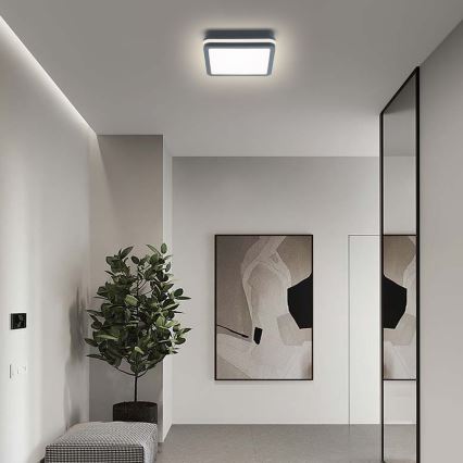 Brilagi - Lámpara de exterior LED con sensor BENE LED/18W/230V 22x22 cm antracita IP54
