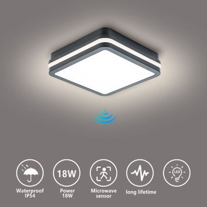 Brilagi - Lámpara de exterior LED con sensor BENE LED/18W/230V 22x22 cm antracita IP54