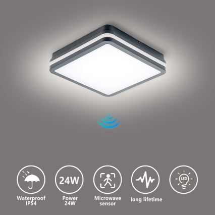 Brilagi - Lámpara de exterior LED con sensor BENE LED/24W/230V 26x26 cm antracita IP54