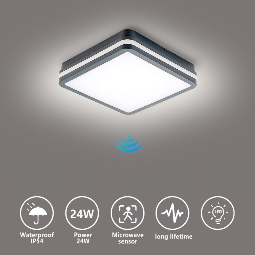 Brilagi - Lámpara de exterior LED con sensor BENE LED/24W/230V 26x26 cm antracita IP54