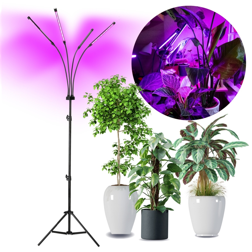 Brilagi - Lámpara de pie flexible LED regulable para el cultivo de plantas VITABLOOM 4xLED/7,5W/230V negro