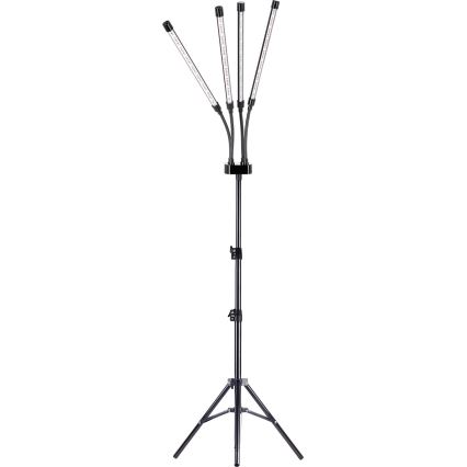 Brilagi - Lámpara de pie flexible LED regulable para el cultivo de plantas VITABLOOM 4xLED/7,5W/230V negro
