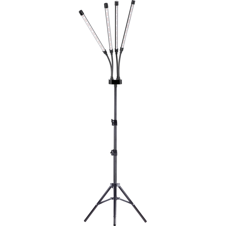 Brilagi - Lámpara de pie flexible LED regulable para el cultivo de plantas VITABLOOM 4xLED/7,5W/230V negro