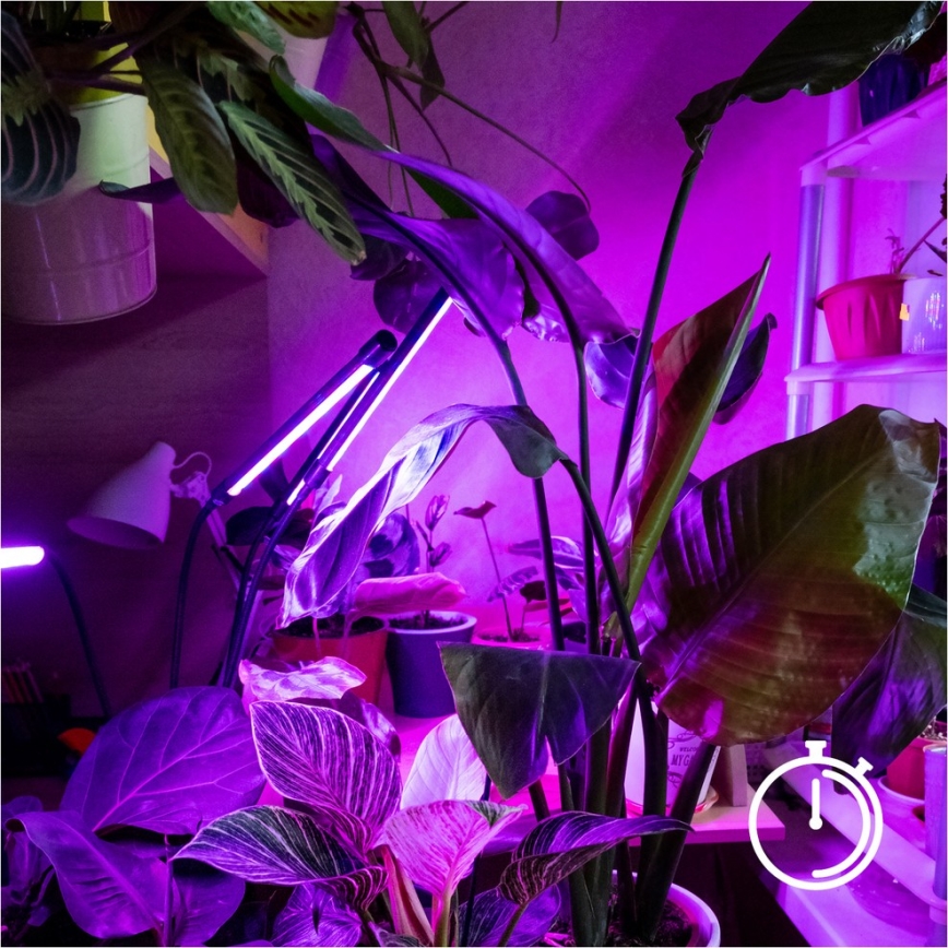 Brilagi - Lámpara de pie flexible LED regulable para el cultivo de plantas VITABLOOM 4xLED/7,5W/230V negro