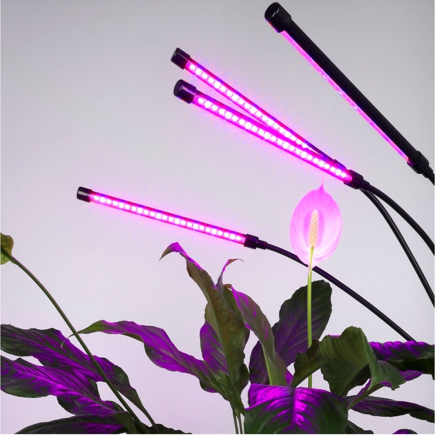Brilagi - Lámpara de pie flexible LED regulable para el cultivo de plantas VITABLOOM 4xLED/7,5W/230V negro
