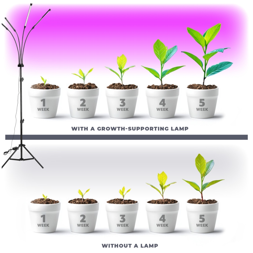 Brilagi - Lámpara de pie flexible LED regulable para el cultivo de plantas VITABLOOM 4xLED/7,5W/230V negro