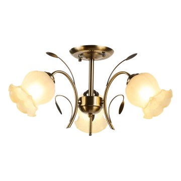 Brilagi - Lámpara de techo FLORA 3xE14/60W/230V bronce