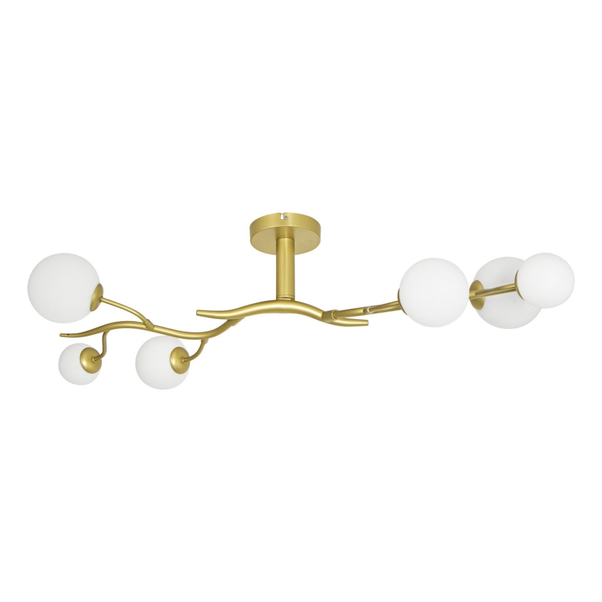 Brilagi - Lámpara de techo LED MISTEL 6xG9/3W/230V dorado/blanco