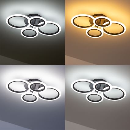 Brilagi - Lámpara de techo LED regulable ORBITS LED/50W/230V 3000-6500K antracita + control remoto