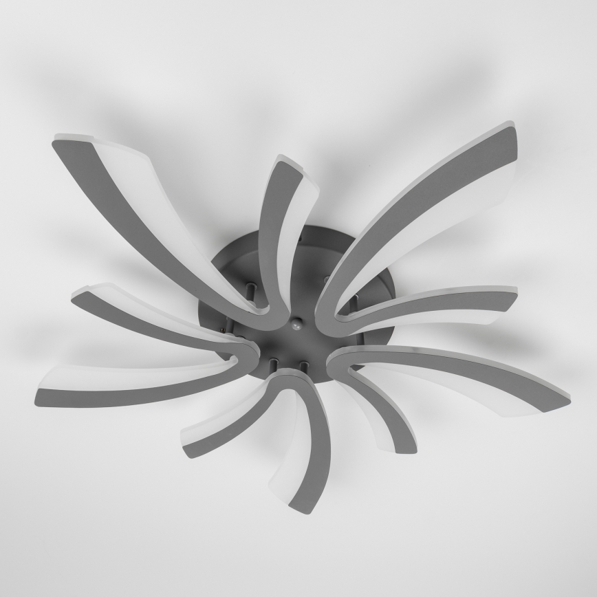Brilagi - Lámpara de techo LED regulable TWIST LED/55W/230V 3000-6500K antracita + control remoto