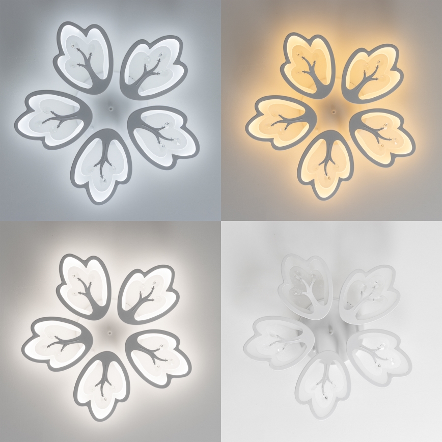Brilagi - Lámpara de techo LED regulable TWIST LED/80W/230V 3000-6500K blanco + control remoto
