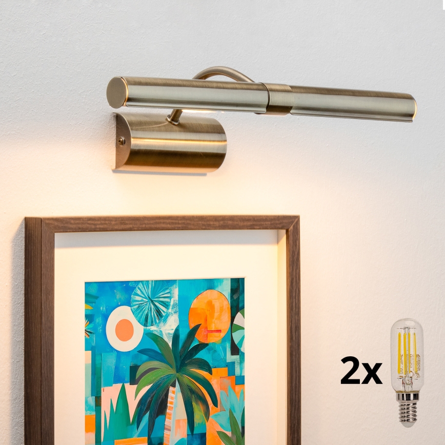 Brilagi - Lámpara LED de cuadro DANAE 2xE14/4W/230V 3000K bronce