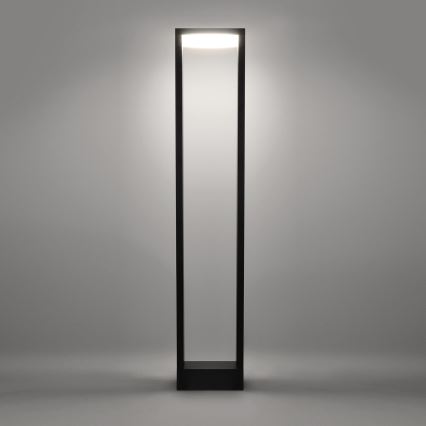 Brilagi - Lámpara LED de exterior RAGUSA LED/7W/230V 3000/4000/6000K antracita IP54 80 cm
