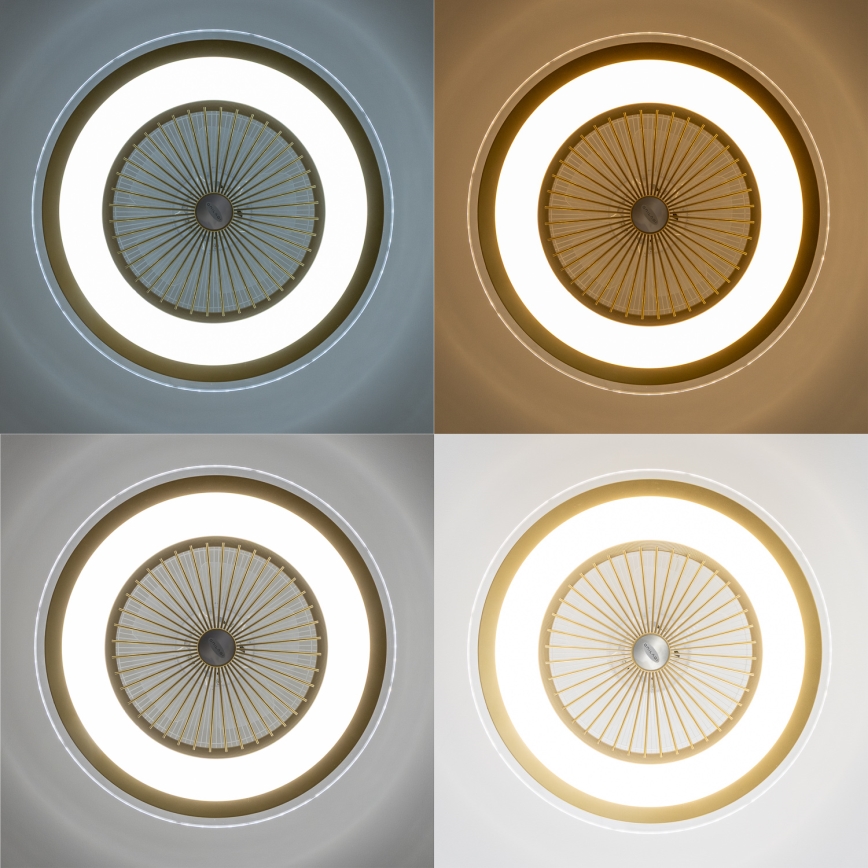 Brilagi - Lámpara LED regulable con ventilador RONDA LED/48W/230V 3000-6000K dorado + control remoto