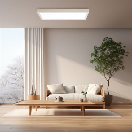Brilagi - Luz de techo LED regulable para baño FRAME SMART LED/30W/230V 30x60 cm 3000-6000K IP44 blanco + control remoto