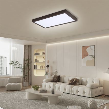 Brilagi - Luz de techo LED regulable para baño FRAME SMART LED/30W/230V 30x60 cm 3000-6000K  IP44 negro  + control remoto