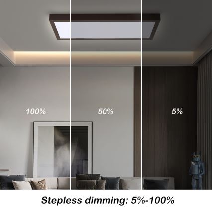 Brilagi - Luz de techo LED regulable para baño FRAME SMART LED/30W/230V 30x60 cm 3000-6000K  IP44 negro  + control remoto
