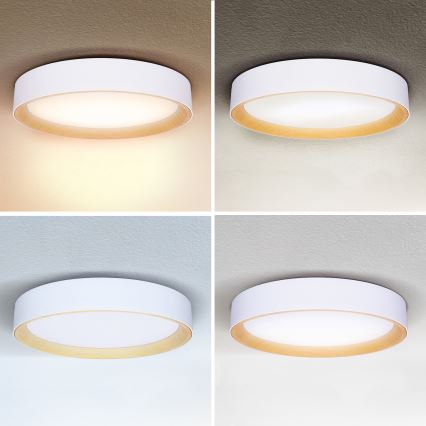 Brilagi - Plafón LED regulable LARIOS LED/60W/230V 3000-6500K ø 49 cm blanco + control remoto