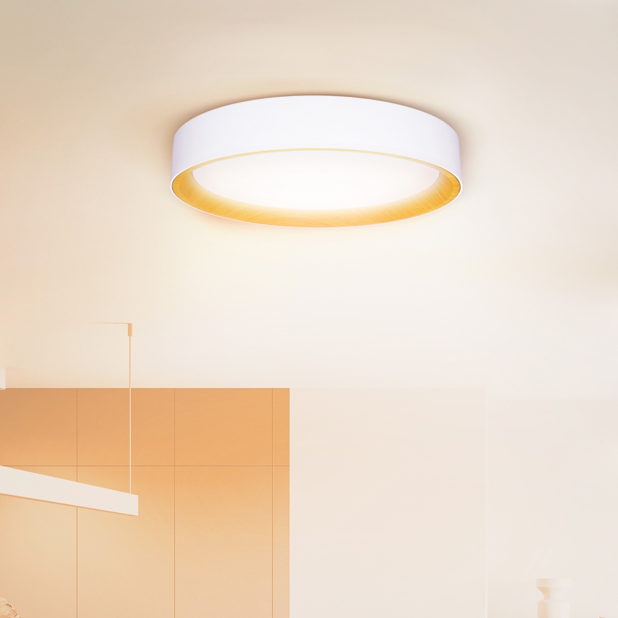Brilagi - Plafón LED regulable LARIOS LED/60W/230V 3000-6500K ø 49 cm blanco + control remoto
