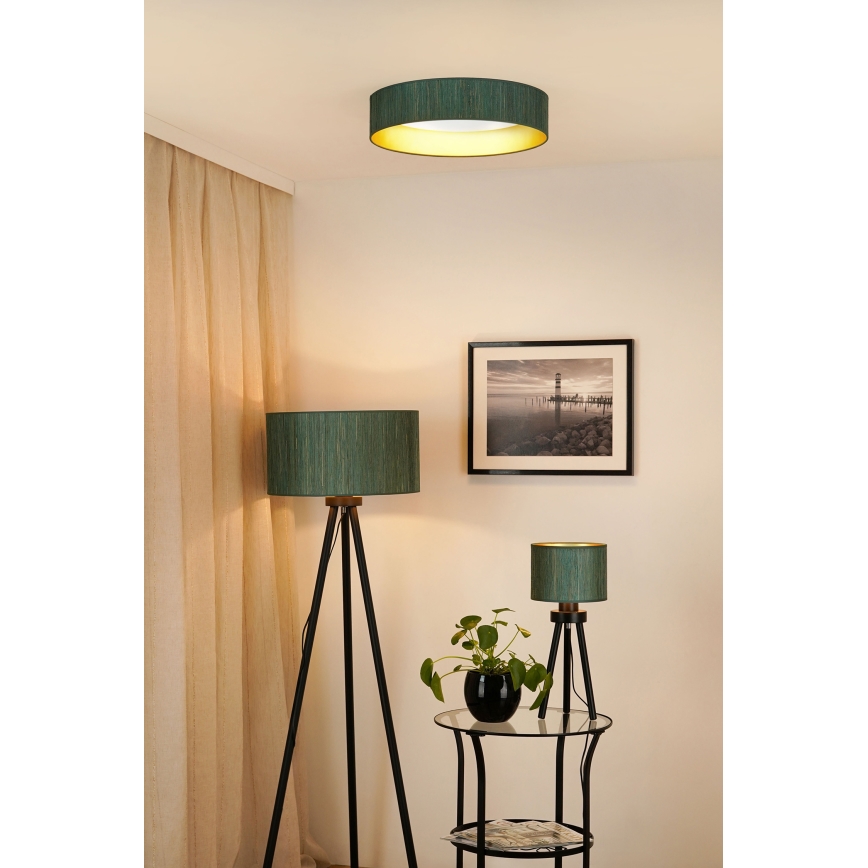Brilagi - Plafón LED regulable VEGAS SHINE LED/24W/230V 3000/4000/6500K paja verde/dorado + control remoto