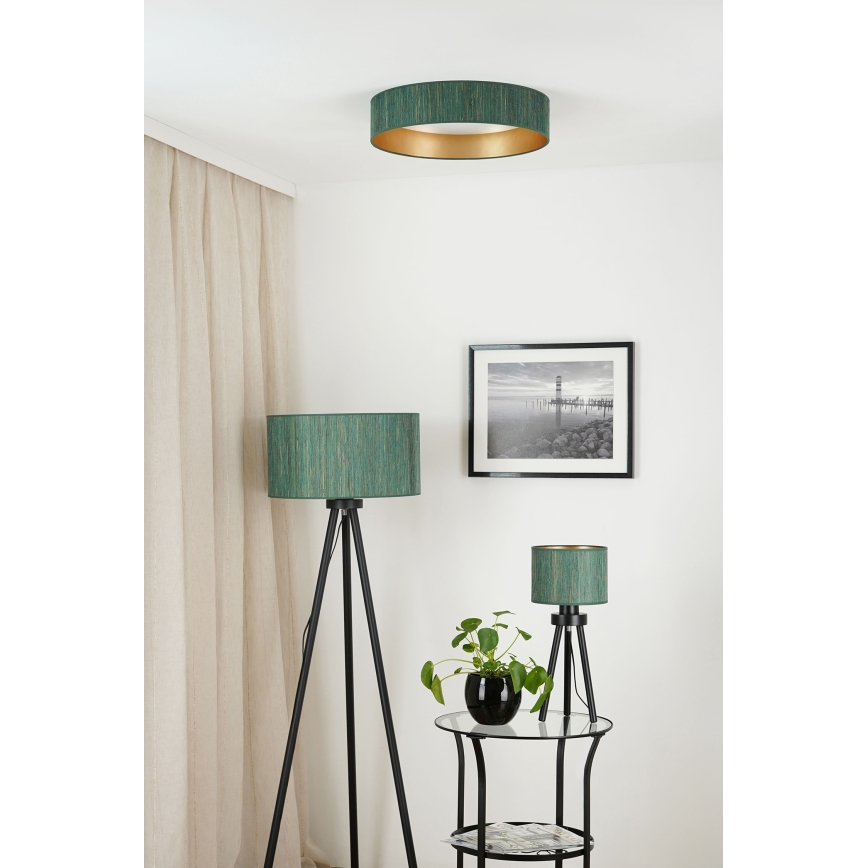 Brilagi - Plafón LED regulable VEGAS SHINE LED/24W/230V 3000/4000/6500K paja verde/dorado + control remoto
