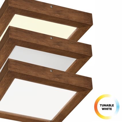Brilagi - Luz de techo LED regulable para baño WOODY FRAME LED/24W/230V roble cereza 30x30 cm 3000-6000K IP44 + control remoto