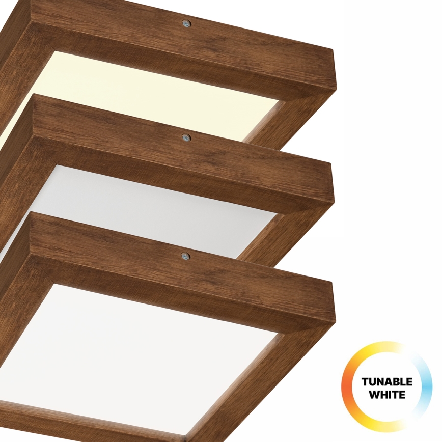 Brilagi - Luz de techo LED regulable para baño WOODY FRAME LED/24W/230V roble cereza 30x30 cm 3000-6000K IP44 + control remoto