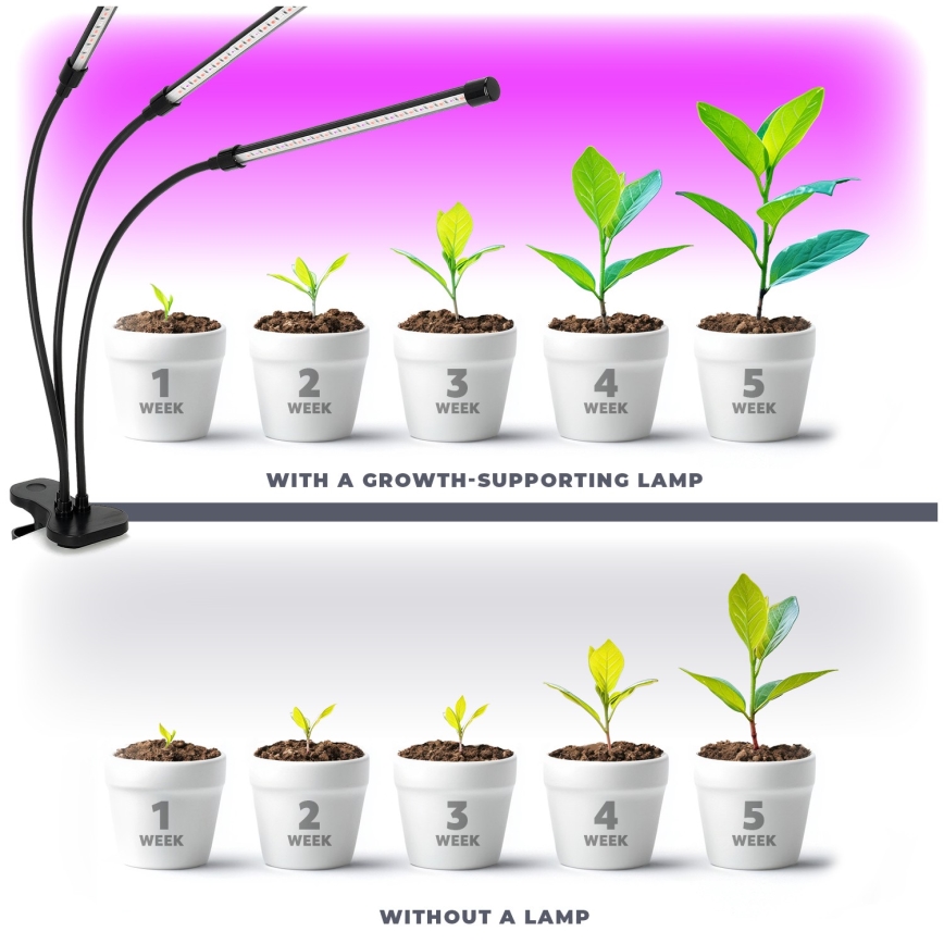 Brilagi - Lámpara de mesa LED regulable y flexible con pinza para cultivo de plantas VITABLOOM 3xLED/10W/230V negro