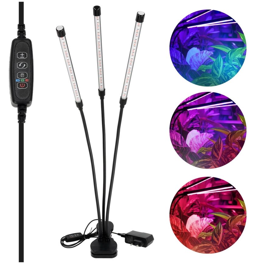 Brilagi - Lámpara de mesa LED regulable y flexible con pinza para cultivo de plantas VITABLOOM 3xLED/10W/230V negro