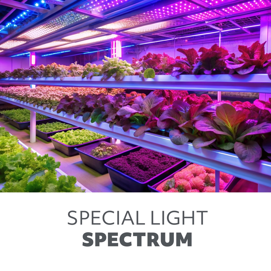 Brilagi - Lámpara de mesa LED regulable y flexible con pinza para cultivo de plantas VITABLOOM 3xLED/10W/230V negro