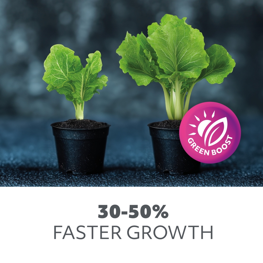 Brilagi - Lámpara de mesa LED regulable y flexible con pinza para cultivo de plantas VITABLOOM 3xLED/10W/230V negro