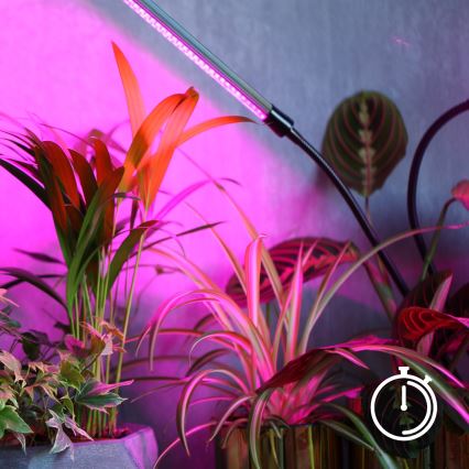 Brilagi - Lámpara de mesa flexible LED regulable para el cultivo de plantas VITABLOOM 3xLED/10W/230V negro
