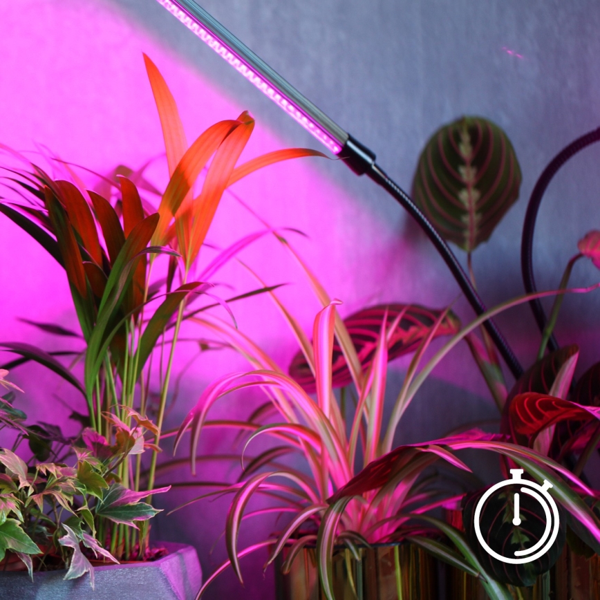 Brilagi - Lámpara de mesa flexible LED regulable para el cultivo de plantas VITABLOOM 3xLED/10W/230V negro